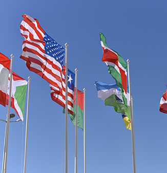 flag-statement-documentation